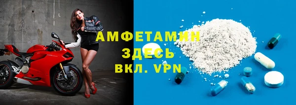 сатива Беломорск