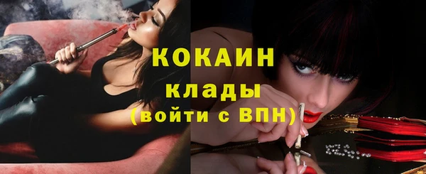 сатива Беломорск