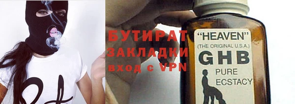 сатива Беломорск