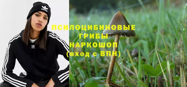 сатива Беломорск