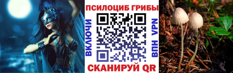 Галлюциногенные грибы GOLDEN TEACHER  Купить закладки  Озёрск 